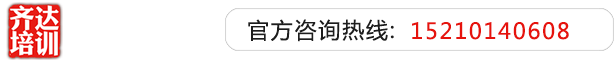 www.操比网站齐达艺考文化课-艺术生文化课,艺术类文化课,艺考生文化课logo